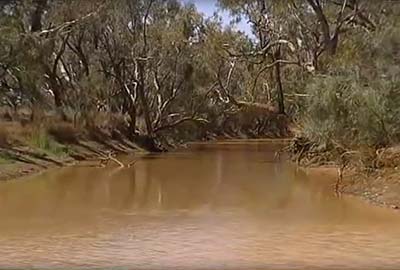 Bush Ballads, Melbourne, Humpback Whale Migration