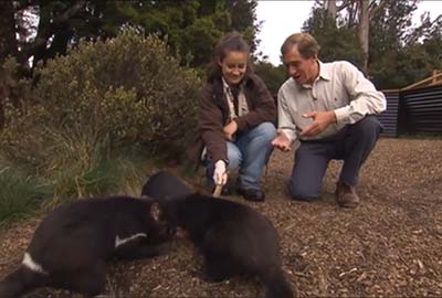 Cradle Mountain, Sing-Sing & Memories Of Dorothea Mackellar