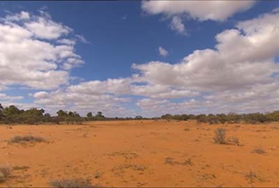 NSW Bushranger & Gold Rush Towns & Wine Growing, Griffith