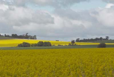 Travel Oz Series 4 Episode 29 - Canola Trail