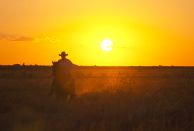 Travel Oz Series 4 Episode 3 - Food and Wine South Australia